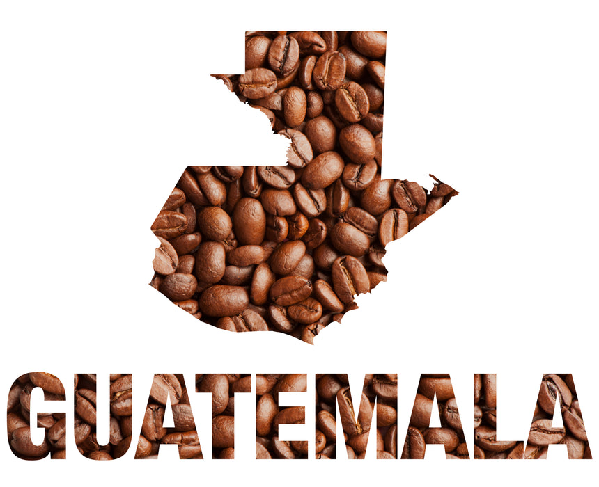 Map of Guatemala filled with coffee beans on a white background